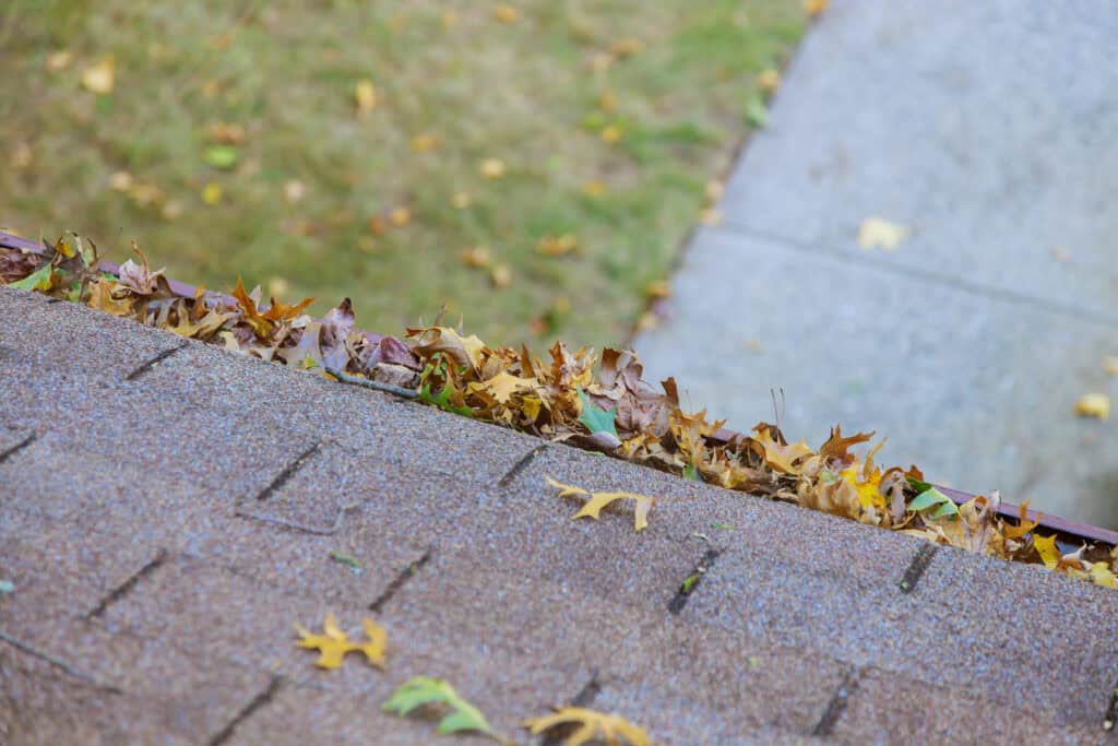 The Real Cost of Neglecting Gutter Repairs 3